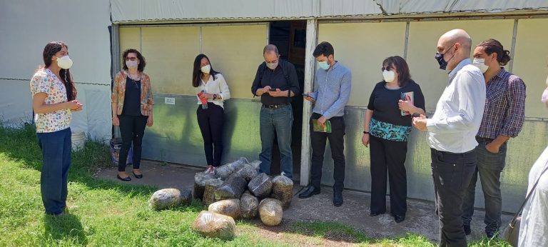 WhatsApp Image 2021-10-20 at 16.16.48