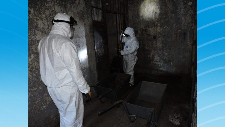 Limpieza del recinto 1 de la VII Batería. Foto: gentileza equipo de arqueología CONICET-UNS