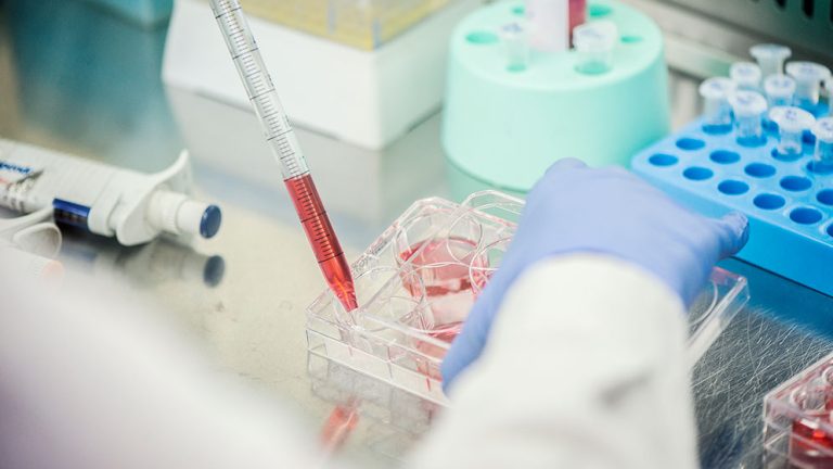 El CONICET se ubica en el primer puesto de las instituciones gubernamentales de ciencia en América Latina y en el puesto trece entre 1747 instituciones gubernamentales a nivel mundial. Créditos: Verónica Tello