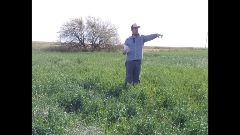 Diseño sin título (16)