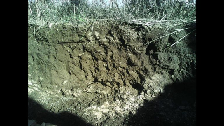 Diseño sin título (17)