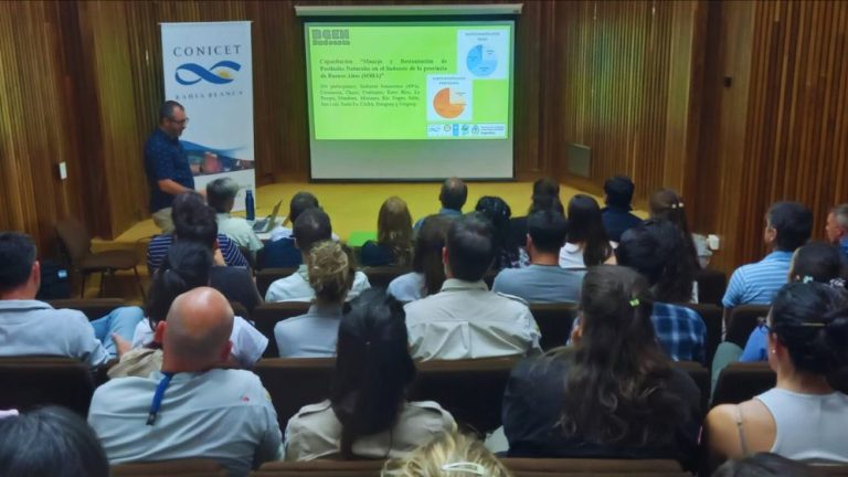 Diseño sin título (20)