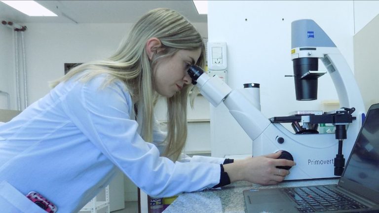 Luana Homann, becaria doctoral del CONICET observa a través del microscopio óptico invertido la infección viral en monocapulas de células