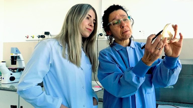Mariana Puntel (der.), directora del grupo de Biotecnología Viral del INIBIBB, CONICET-UNS junto a la becaria doctoral Luana Homann. Foto: Pía Squarcia/ CCT Bahía Blanca.