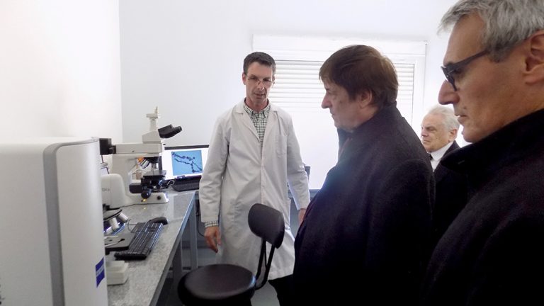 Centro de Desarrollo en Tribología y Tecnología de Superficies.