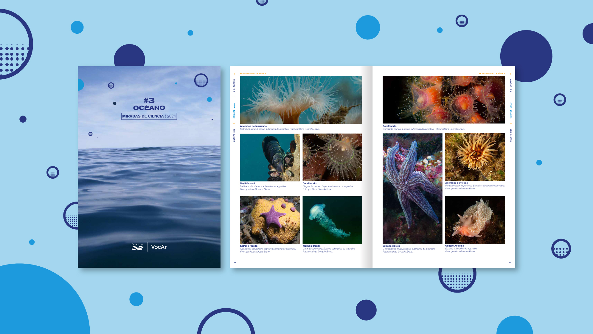 “Miradas de Ciencia”: historias de vida y de ciencia con el océano como protagonista.