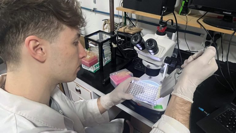 Sebastián Giunti trabaja en el laboratorio. Foto: CONICET Bahía Blanca.