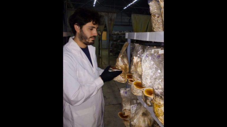 Maximiliano Bidegain realizando tareas de control de producción.