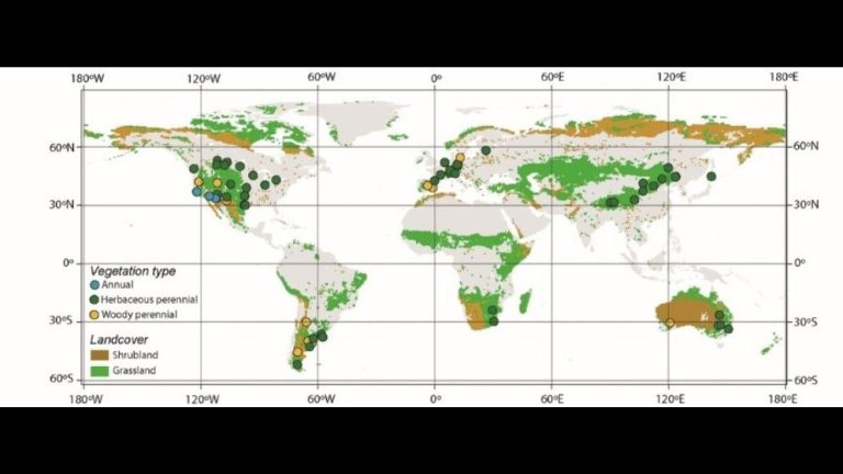 Sitios experimentales distribuidos alrededor del mundo